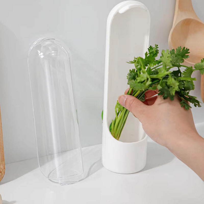 Fresh Herb Saver Storage Container